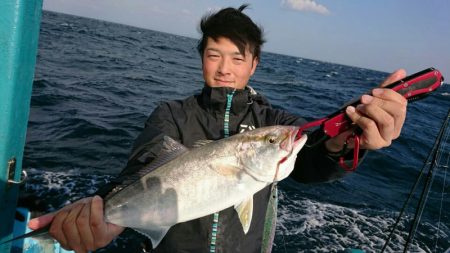 阿波哲 釣果