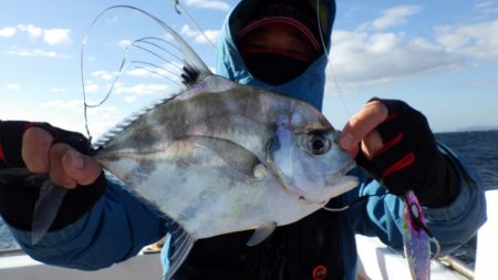 阿波哲 釣果