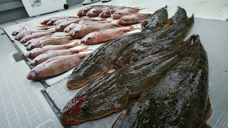 タイラバ遊漁船 ワンピース 釣果