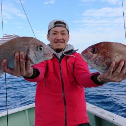 だて丸 釣果