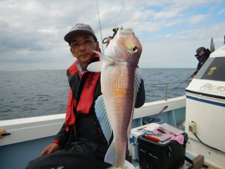 きずなまりん 釣果