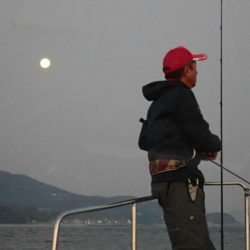 タイラバ遊漁船 ワンピース 釣果