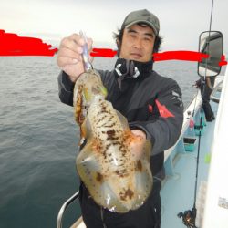 きずなまりん 釣果