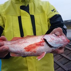 ぽん助丸 釣果