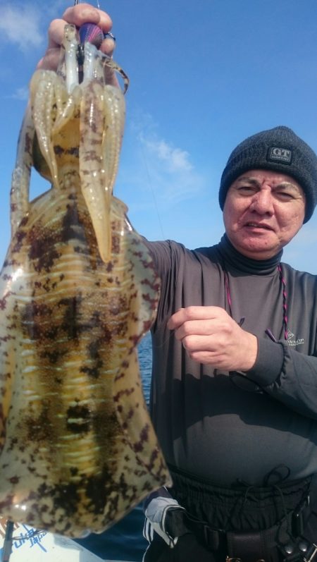 シースナイパー海龍 釣果