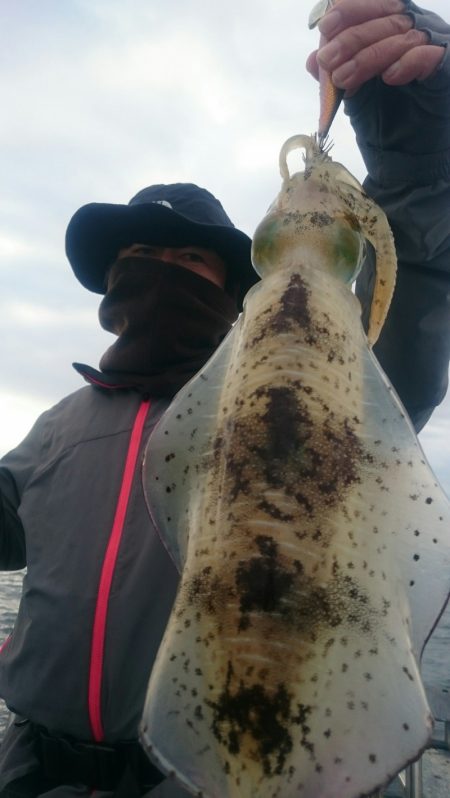 シースナイパー海龍 釣果