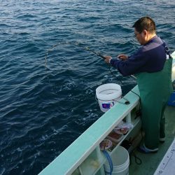 米丸 釣果