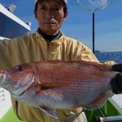 ゆたか丸 釣果