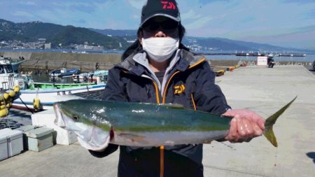 ゆたか丸 釣果