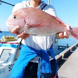 潮丸 釣果