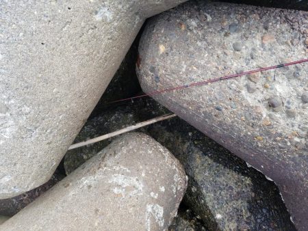 穴釣り　～初めてサバの切り身を使う～