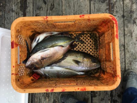 釣り堀