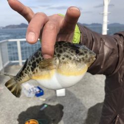 カワハギ釣り