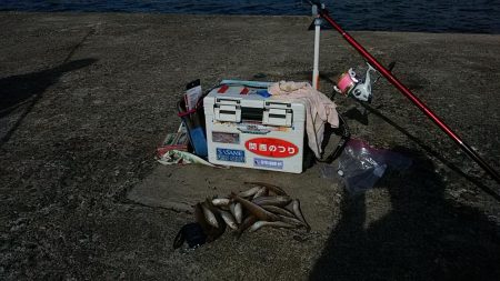 シーズン最終釣行で播磨新島へ