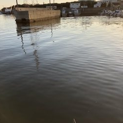 子供と小物釣り