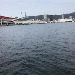 釣り納めに北公園