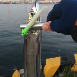 大阪奥湾ワインド 冬の鶴浜緑地