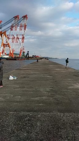 まだ釣れる播磨新島のキス