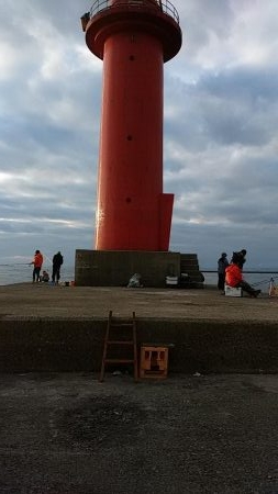 まだ釣れる播磨新島のキス