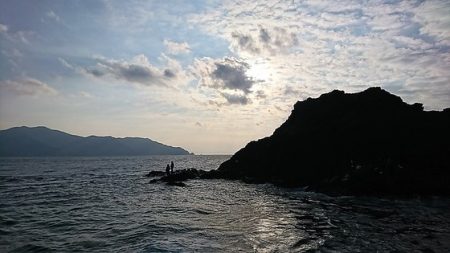 しば渡船 釣果