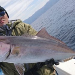 海晴丸 釣果