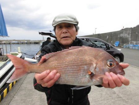 大進丸（新潟） 釣果