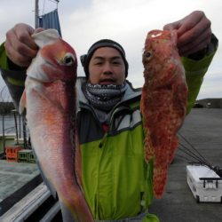 大進丸（新潟） 釣果