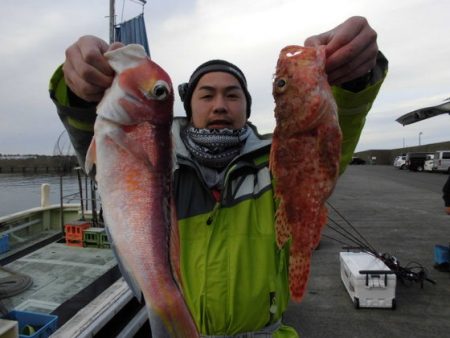 大進丸（新潟） 釣果