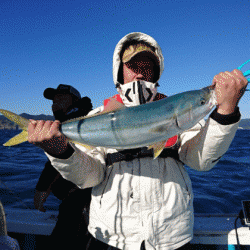 清和丸 釣果