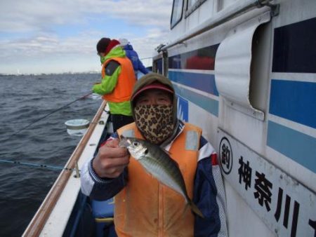 あい川丸 釣果