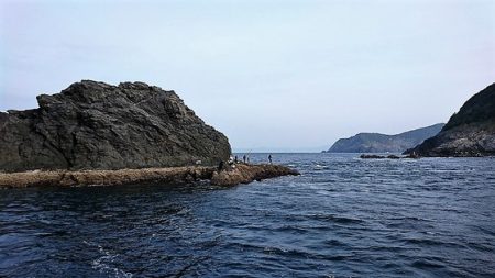 しば渡船 釣果