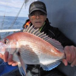 鯛紅丸 釣果