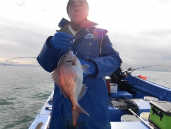 鯛紅丸 釣果