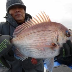 鯛紅丸 釣果