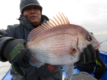 鯛紅丸 釣果