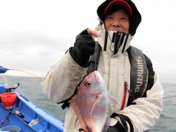 鯛紅丸 釣果