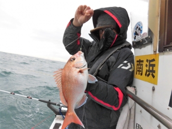 鯛紅丸 釣果