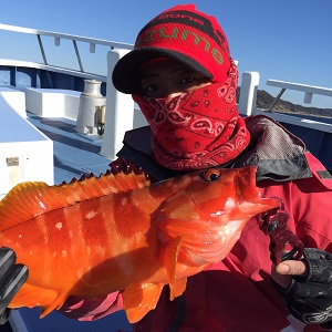 松栄丸 釣果