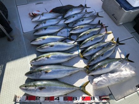 ふじしめ丸 釣果