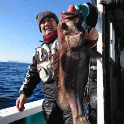 清和丸 釣果