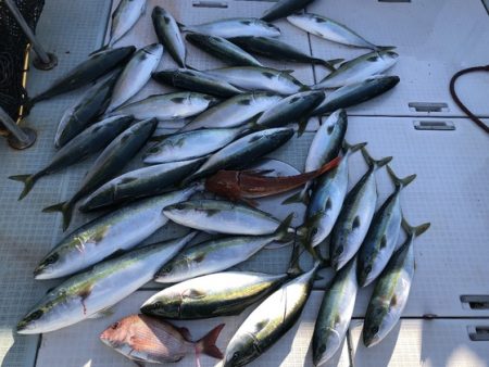 ふじしめ丸 釣果