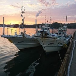 清和丸 釣果