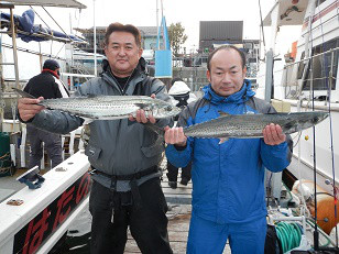 はたの家 釣果