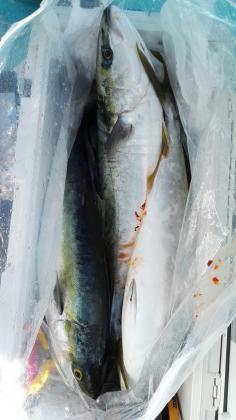 長栄丸(静岡) 釣果