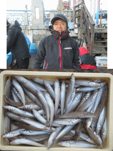 荒川屋 釣果