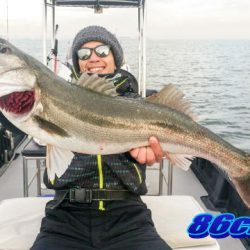 オーシャンマスター 釣果