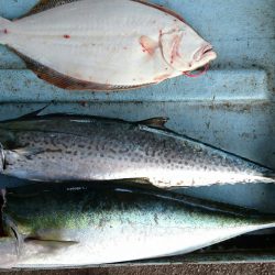 明神釣船 釣果