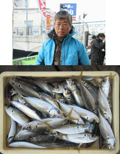 荒川屋 釣果