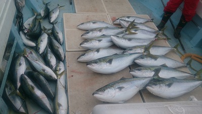 旭星釣りセンター 釣果