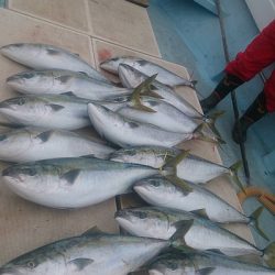 旭星釣りセンター 釣果